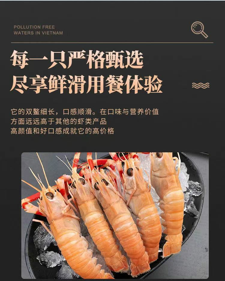 海鳌虾新鲜深海虾刺身鳌虾铁甲虾鲜活冷冻虾类海鲜水产香妮曼特净重3