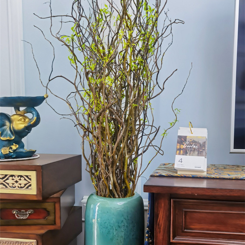 龙柳大型水培植物鲜枝四季好养树枝装饰室内庭院水养