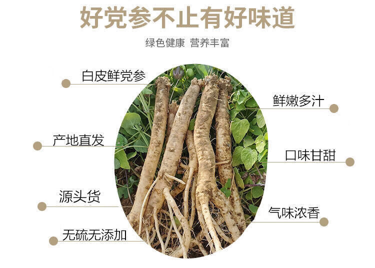 甘肃新鲜党参当归现挖现售无硫野生湿党参鲜党参当归黄芪11月28日发完
