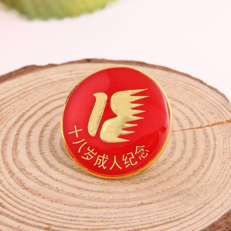 南山驹 金属徽章定制十八岁纪念胸章高中生成年礼学生宣誓仪式勋章