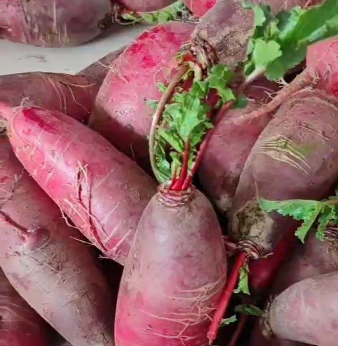 农家穿心红萝卜非全红胭脂萝卜红皮萝卜现拔现发邳州苏北鲁南特产