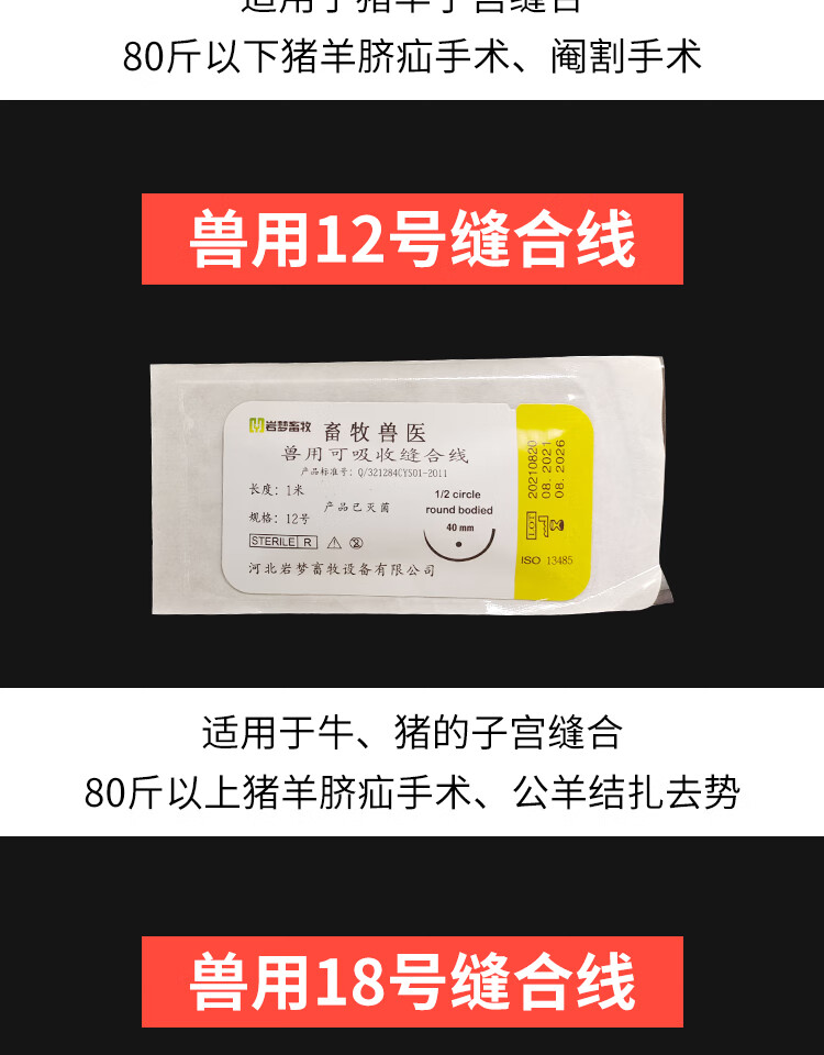 可吸收缝合线外科猪牛用手术线宠物医用动物缝合针线兽用手术肉线