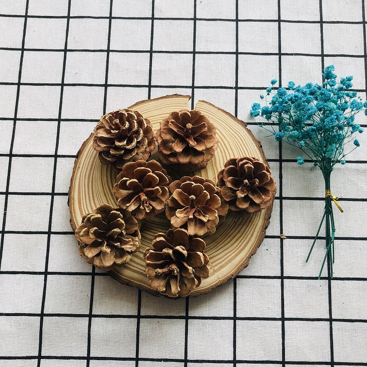 朵萱 松果装饰100个松果装饰手工制作松果松球圣诞松果干花拍摄道具