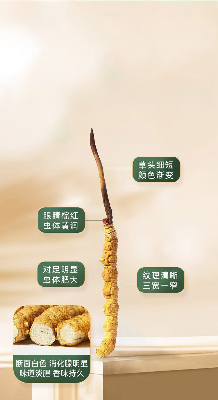 8fb4ed951bc9bdc2.jpg