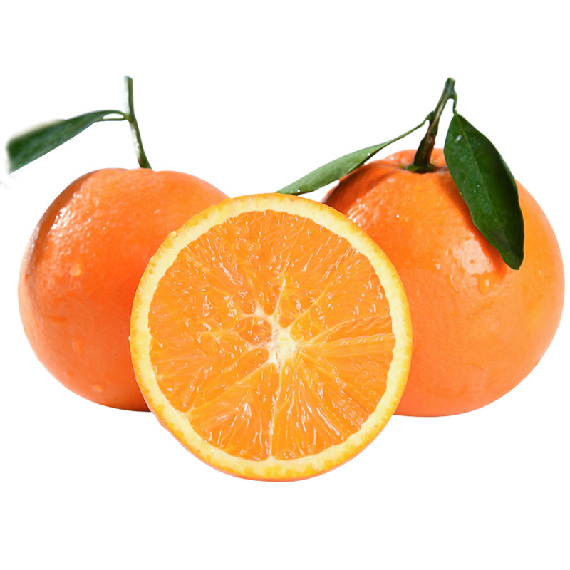 秭归九月红脐橙当季10斤橙子新鲜孕妇水果榨汁皮薄香甜果冻橙80mm含