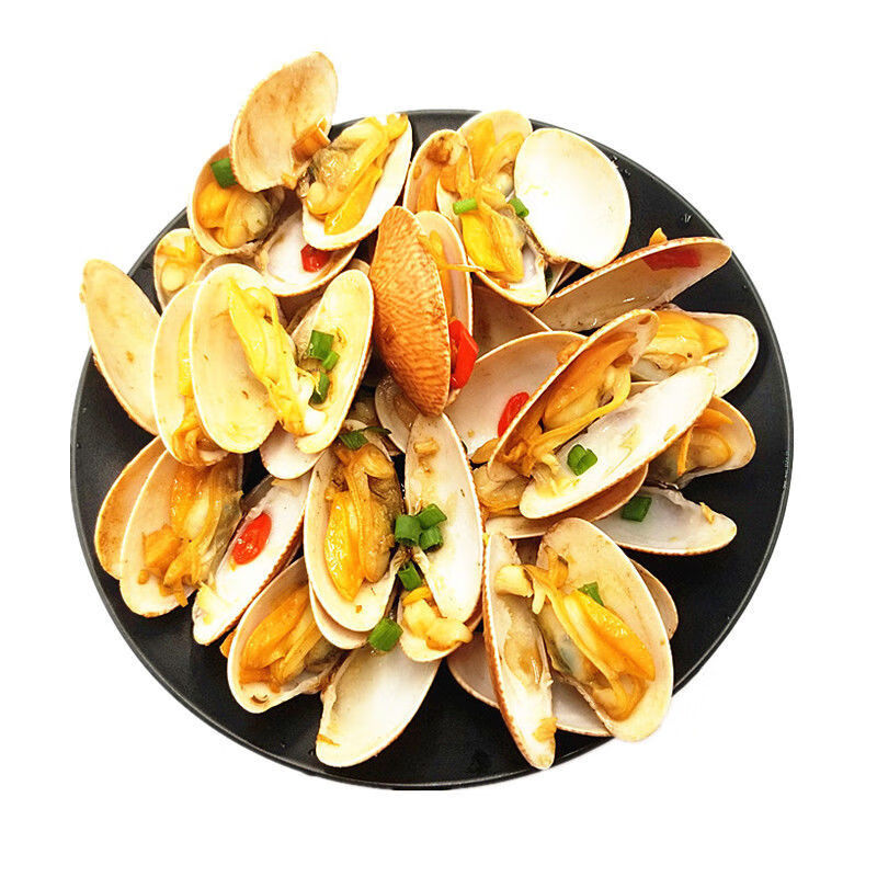 猫扑鱼油花甲活冻花蛤贝类鲜活花蚬子1斤海鲜 大花甲【30-40个/斤】