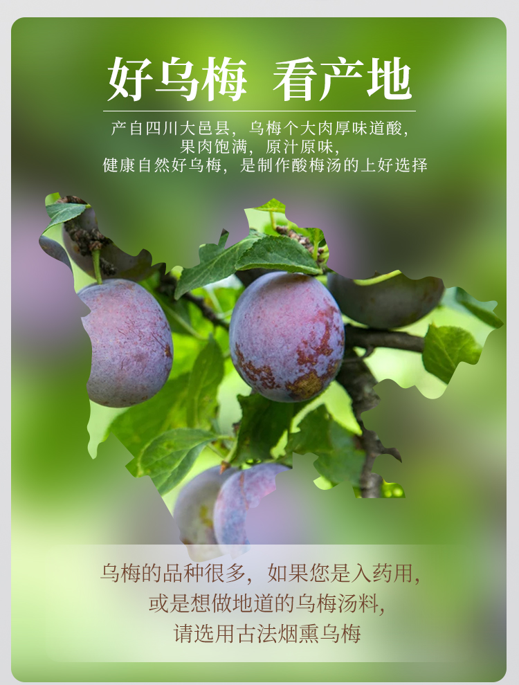 乌梅中药材500g克干乌梅烟熏乌梅散装乌梅丸【图片 价格 品牌 报价】
