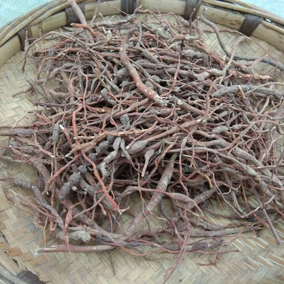 伟博贵州草药鸡筋参 中药材黄鸡胖黄鸡郎长叶数珠肉质膨大根干货500克