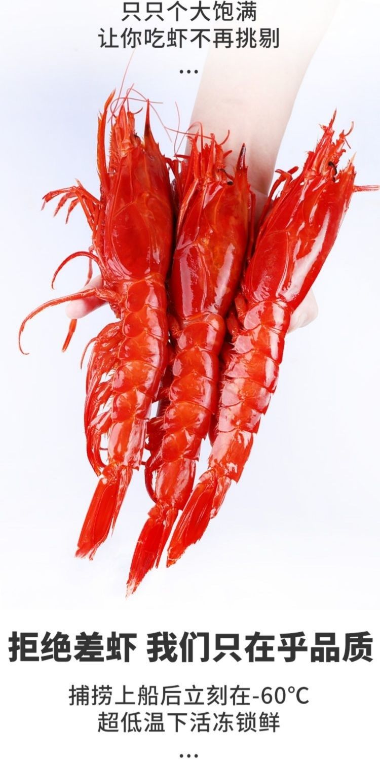 广纳力驰西班牙红魔虾6只超大新鲜刺身特大鲜活零号莫桑比克0号绯红虾