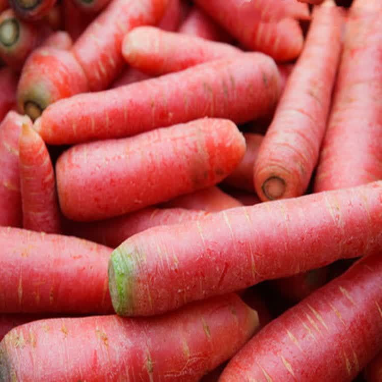 【精选生鲜】新品四川本地红萝卜新鲜沙地水果胡萝卜农家蔬菜红心脆甜