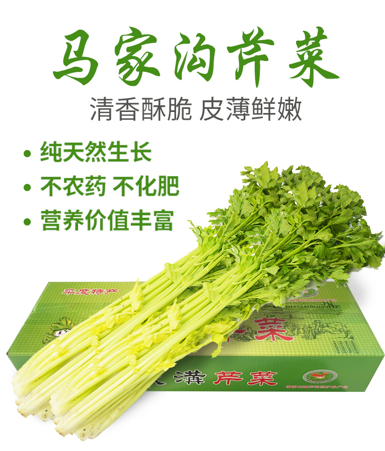 顺丰礼盒马家沟芹菜山东平度空心芹菜嫩芯空梗现摘大叶黄玻璃脆新鲜