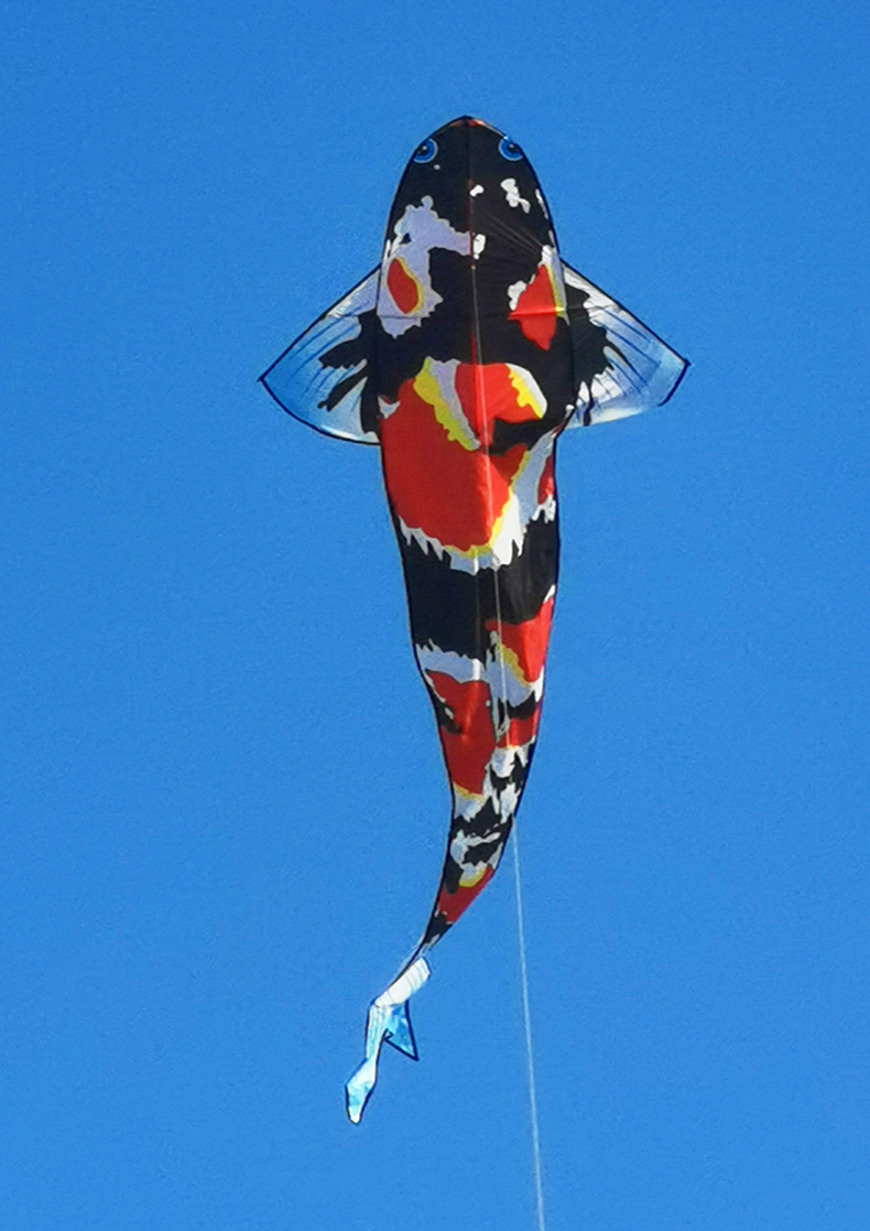 锦鲤潍坊风筝大人专用网红大型2022年新款成人微风易飞超大双锦鲤仅