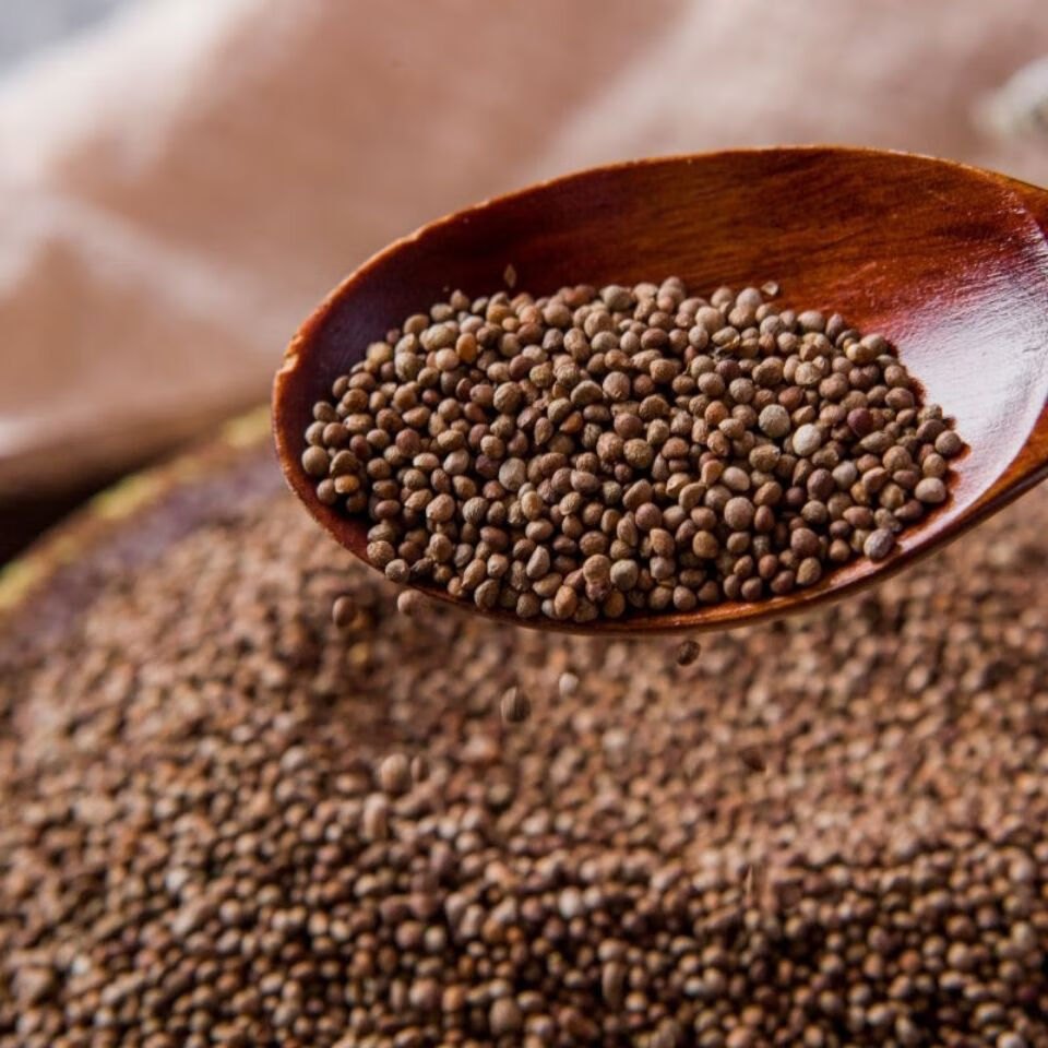 紫苏子粒食用苏子粒生紫苏子小苏子熟紫苏新货紫苏子中药材生鸟食榨油