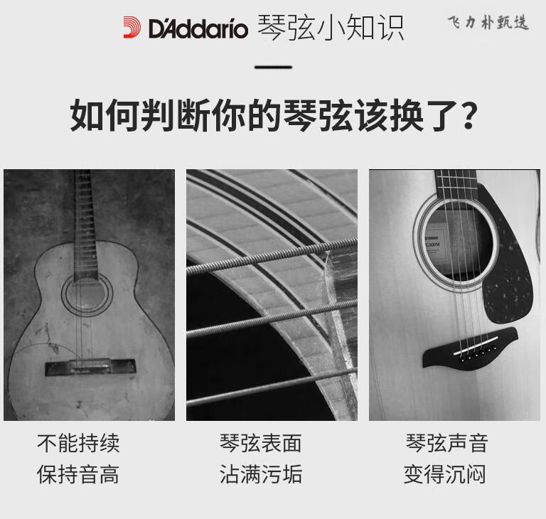 d537f07ce8367c37.jpg