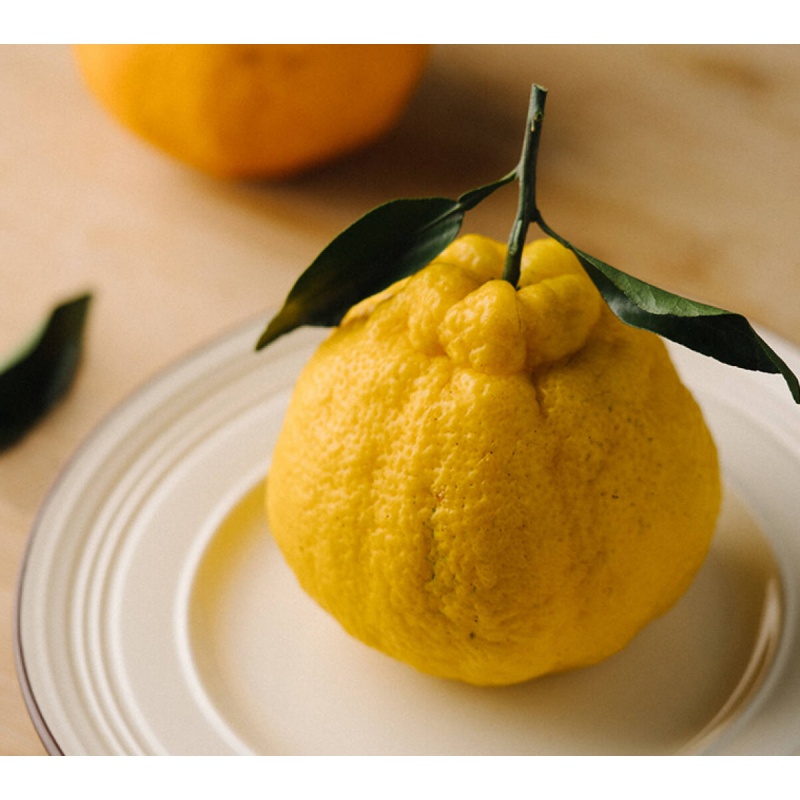 柠檬不知火正宗大果四川浦江柠檬丑橘丑八怪新鲜丹棱甜特级桔子 大果