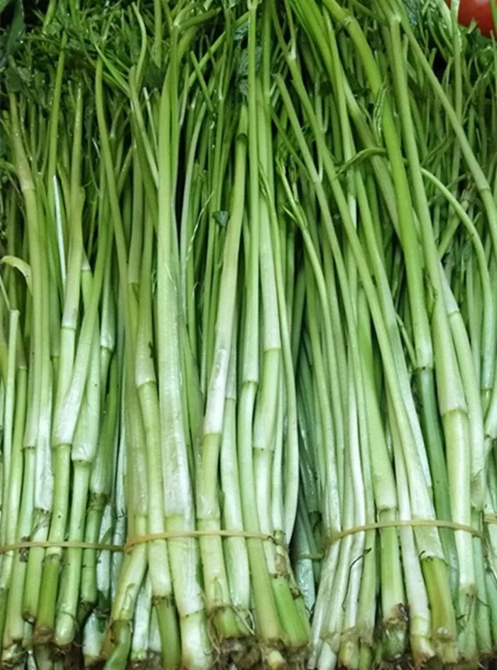 坏烂包赔新鲜野生水芹菜野蔬菜清香河芹农家自种时令蔬菜5斤装