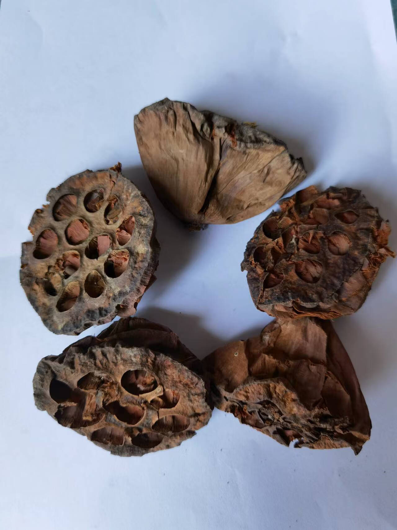 北京同仁堂莲房 中药材 500克 莲蓬壳 莲壳 中草药【图片 价格 品牌