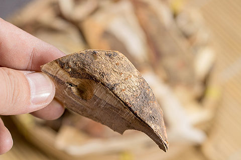 花初醒盐肤木根五倍子根盐霜柏盐酸木盐霜树根无硫纯根 散装 250克