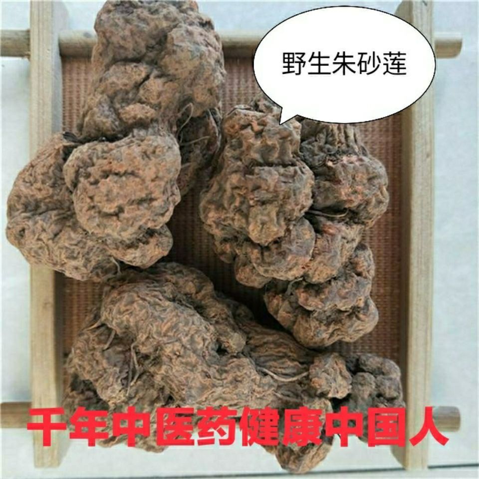 朱砂莲,野生朱砂莲,躲蛇生,牛血莲 朱砂莲500克【图片 价格 品牌