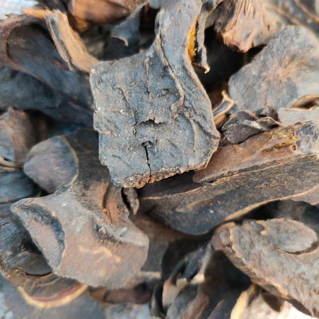 伊梵麦优选中药材炙狗脊烫金毛大贯众百杖500克图片色