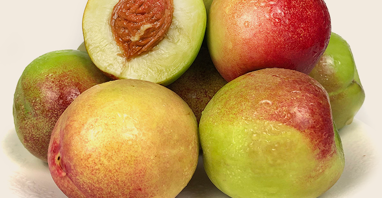 淡雪天使 敦煌李广桃甘肃新鲜青皮小脆甜离核桃子现摘现发当季特产