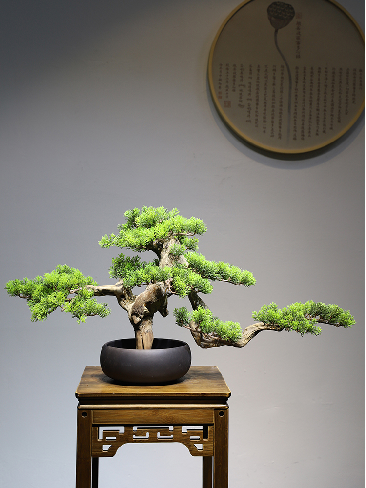 轻奢居装饰品玄关桌样板房室内装饰树宾馆摆件 一禅盆景xf282【图片