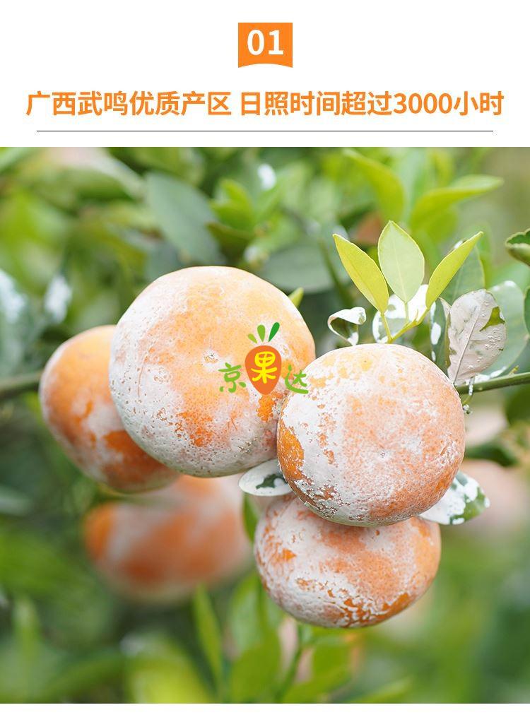 广西武鸣茂谷柑新鲜大果柑橘沃柑当季水果3斤