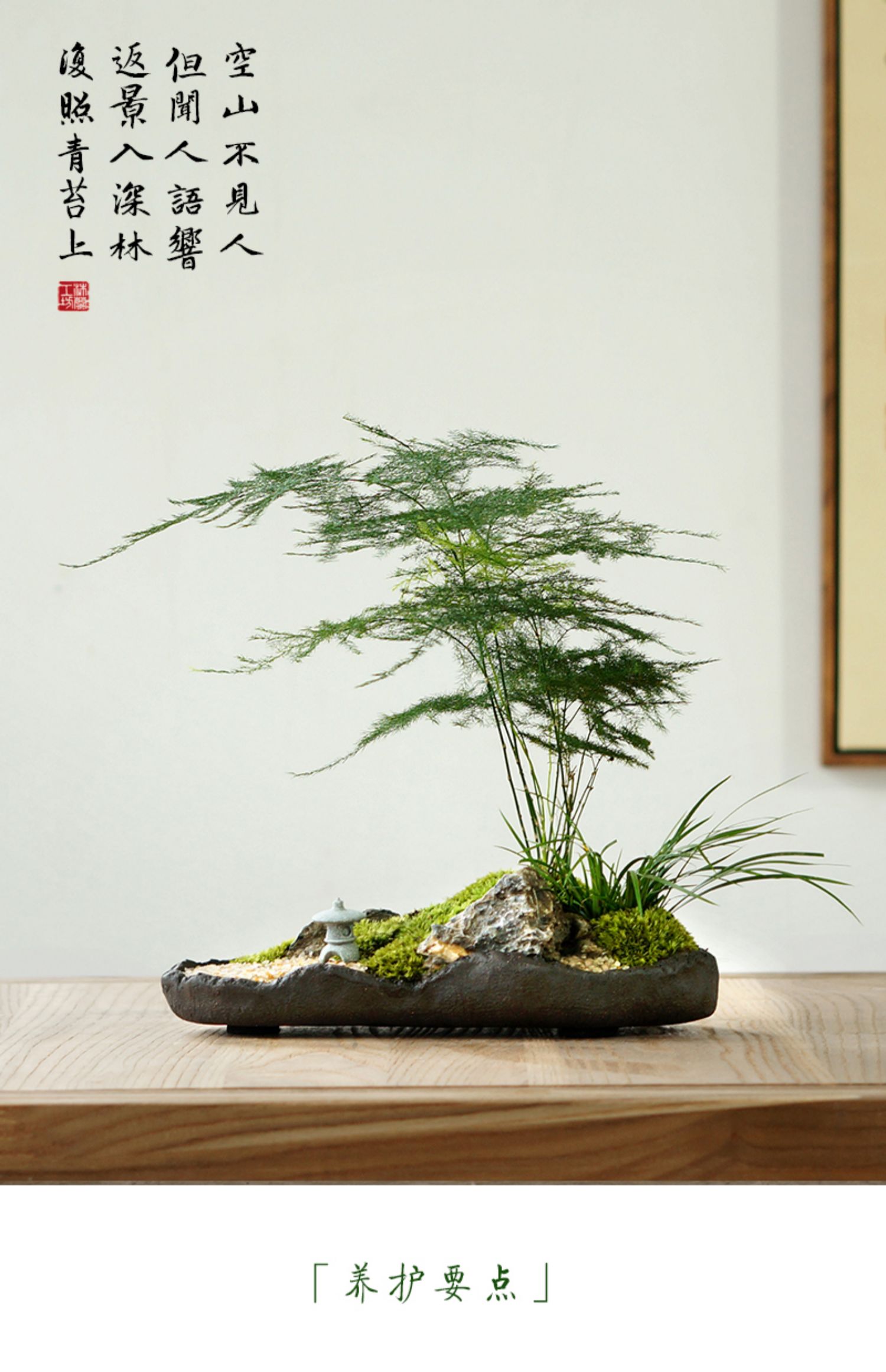 枯山水文竹盆景日式禅意粗陶苔藓菖蒲盆栽书房客厅办公茶桌面绿植 枯