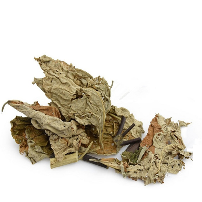 古今润方中药材白背叶白背桐500克