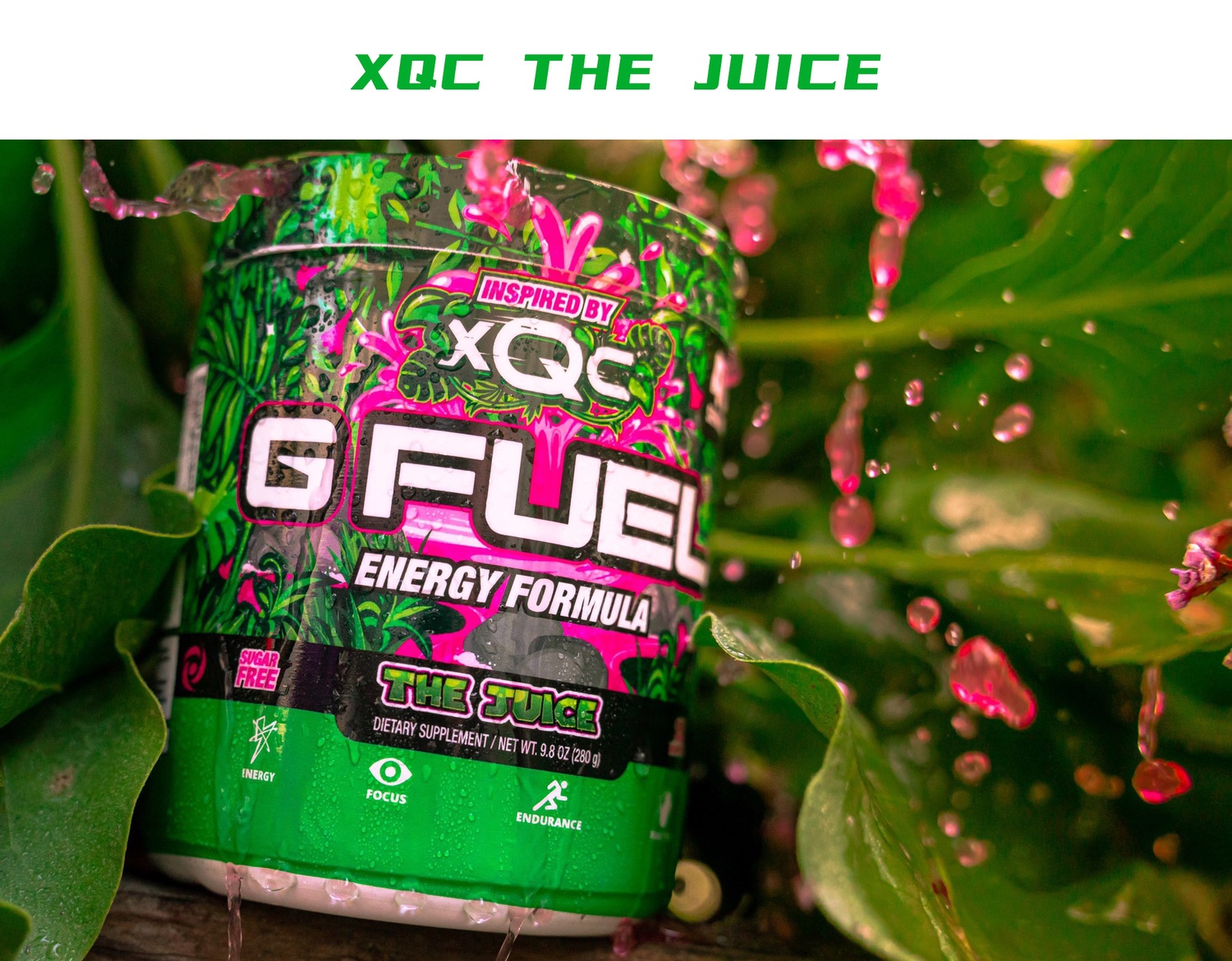 现货美国gfuel能量功能饮料粉冲剂gfuel健身电竞营养xqc影忍者sage