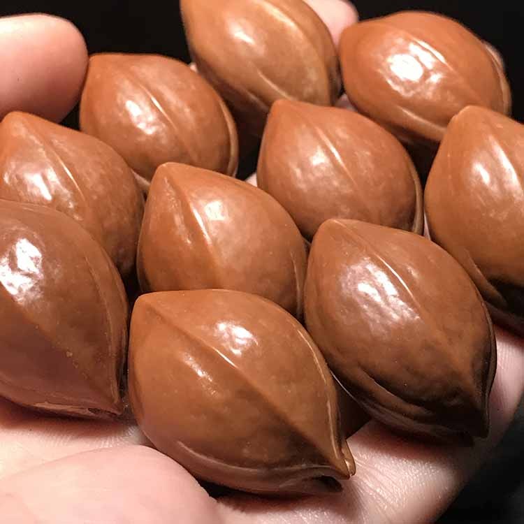 豪珠橄榄核手串梅林铁头核鹰嘴鲨鱼背原皮原料手串原籽素珠手链20去霜
