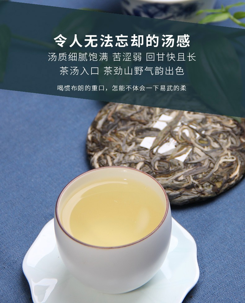 老同志茶叶普洱茶生茶名山古树纯料茶探春易武正山云南七子饼茶海湾
