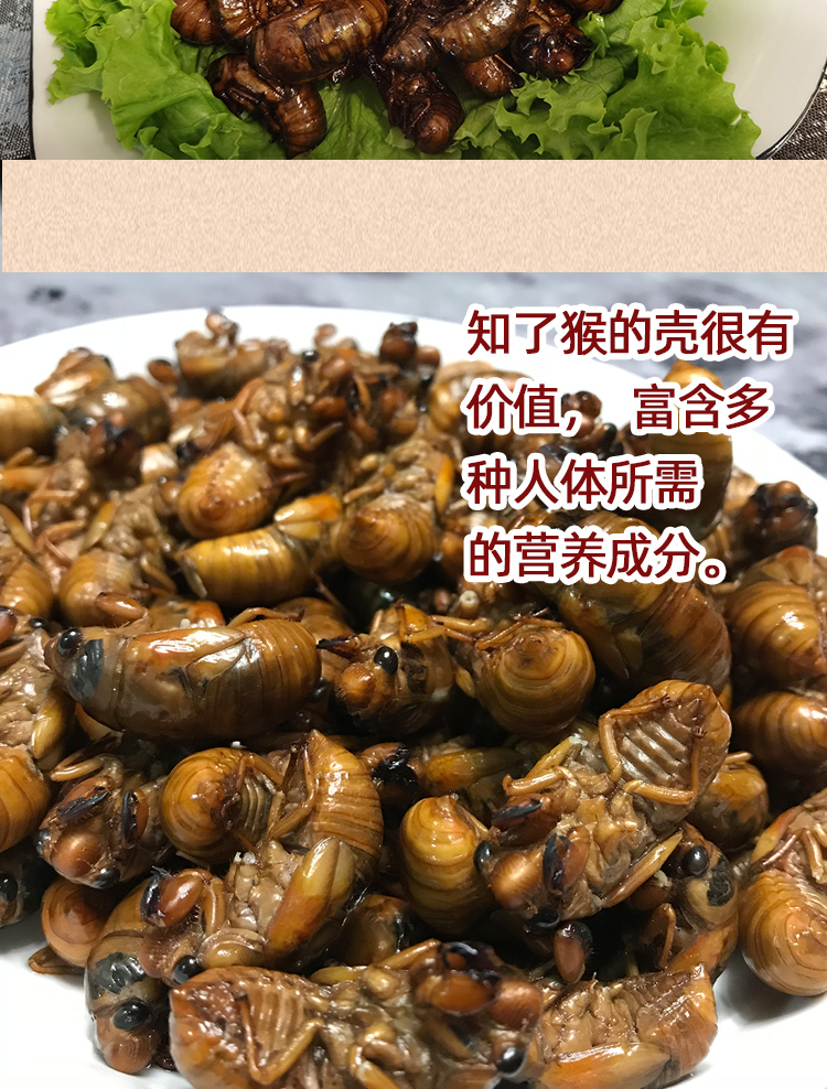 金蝉知了猴100只山东特产节流龟唐僧肉爬叉新鲜冷冻蝉蛹油炸金蝉展志