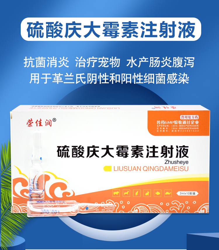 硫酸庆大霉素注射用液兽用药宠物猫狗鱼消炎肠炎庆大霉素针剂口服 1盒