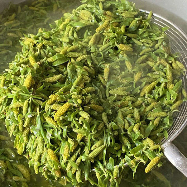 柳树芽新鲜当季头茬野菜柳芽尖早春现摘柳树叶现发农家1500g