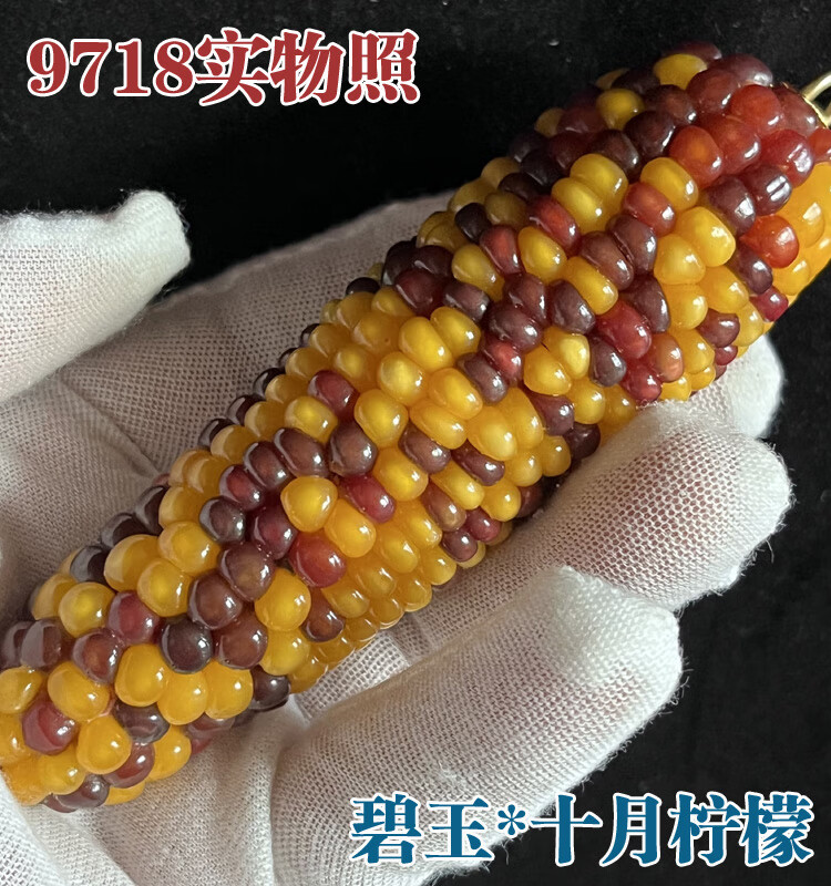 4b16eaa302fa8882.jpg