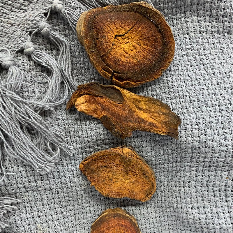 佗迎堂青海大黄500克中药材店铺中药材店铺药材大全