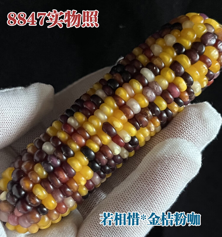 3fe6ef597783119f.jpg
