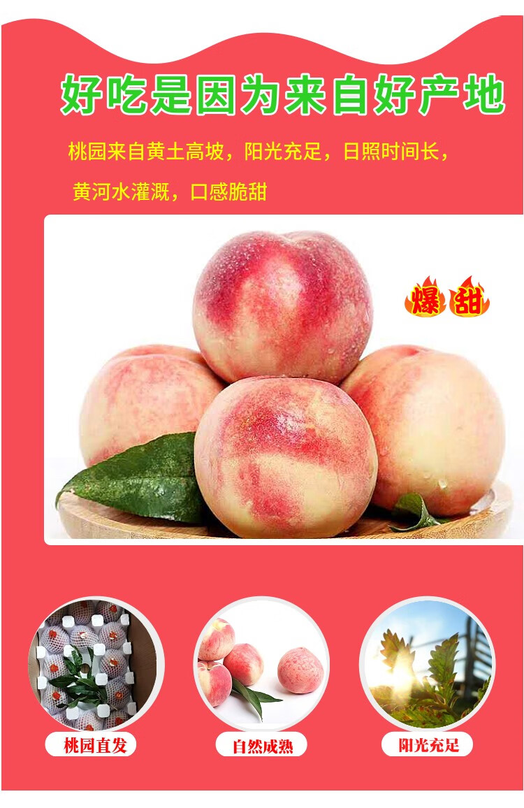 更多参数>>类别:桃品种:毛桃货号:149158商品毛重:1.