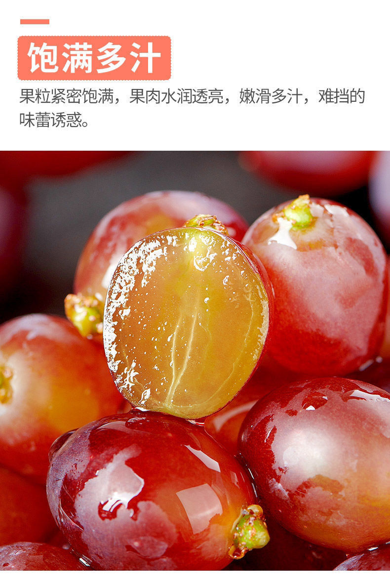 东北茉莉香葡萄新鲜提子郁金香水果整箱非无籽红提玫瑰香葡萄更多参数