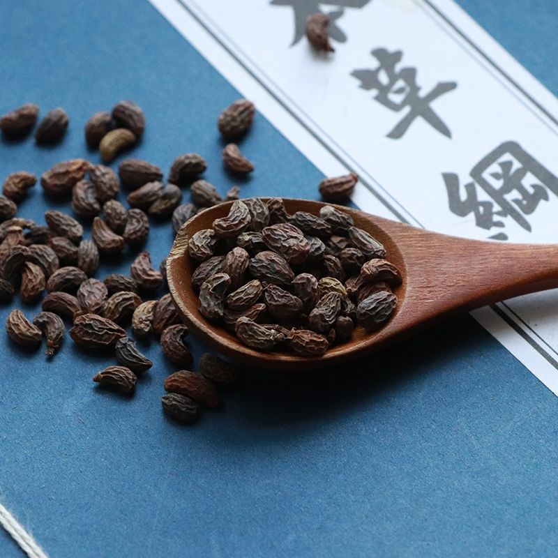 【官方旗舰】正宗新货女贞子500克精选中药材女贞子冬青籽女贞子 女贞