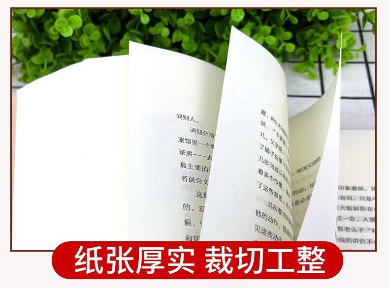 叶圣陶经典散文集童话作品儿童文学全集散文集经典叶圣陶论集书籍语文教育论集当代文学书籍 叶圣陶经典散文集详情图片9