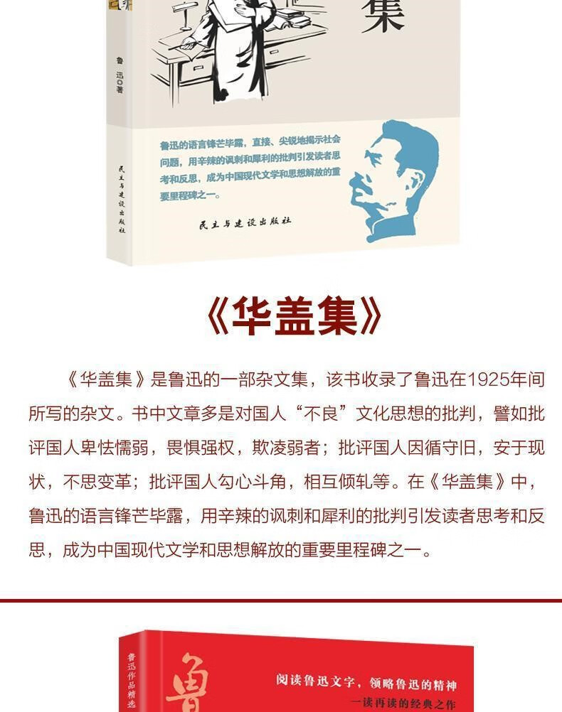 鲁迅全集全10册朝花夕拾故事新编热风10册鲁迅全集彷徨杂文集呐喊野草呐喊彷徨经典作品杂文集 鲁迅全集全10册详情图片12