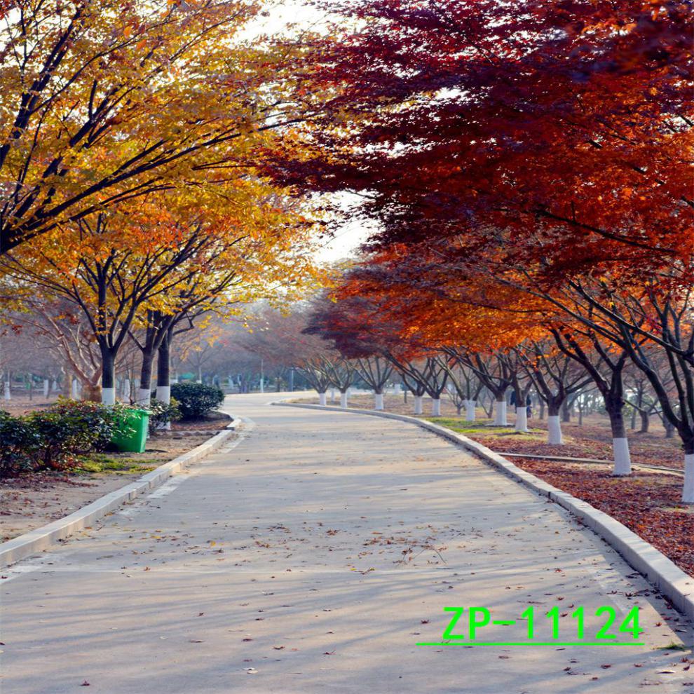 78e0ff56-13dd-4c99-9b67-fad517e0e46f.jpe