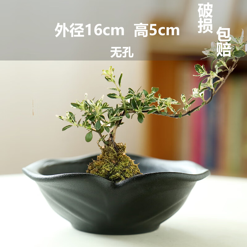 5199d0dfbbe286dc.jpg