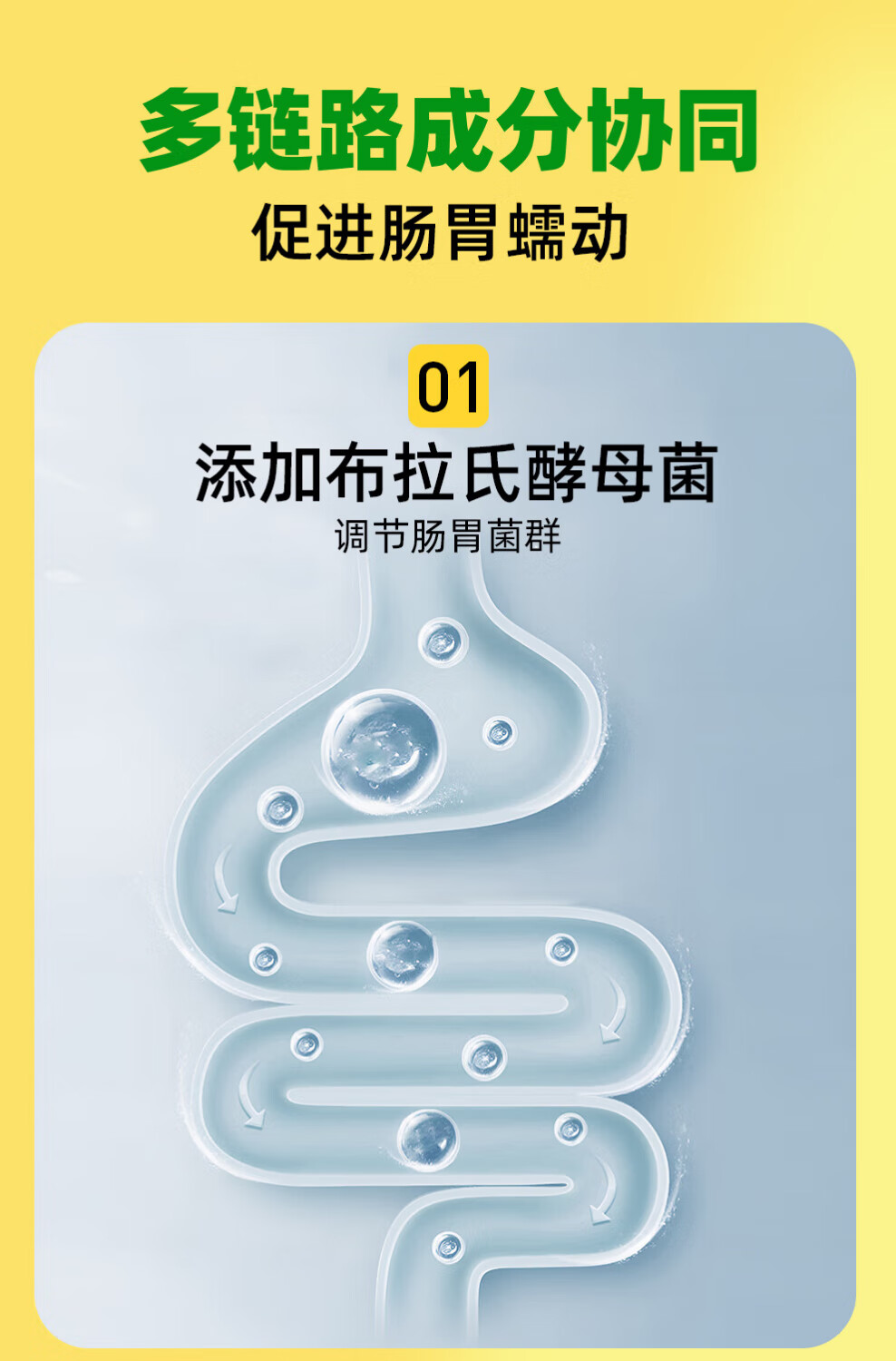 5，賽菲普雙專利寵物益生菌貓咪狗狗專用活性益生菌調理腸胃腹瀉嘔吐拉稀 五條躰騐裝