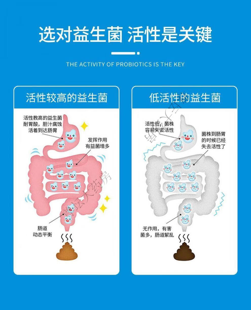 6，漢森元益生菌 益生菌理調腸胃八連菌消化多種益生元 活菌型一盒躰騐裝