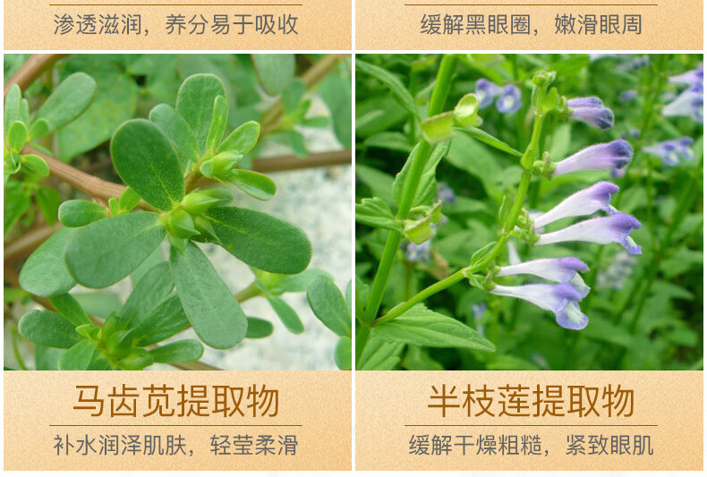 碧素堂黄金蜗牛水润保湿眼贴膜眼袋细纹眼部护理黑眼圈 60片/一盒