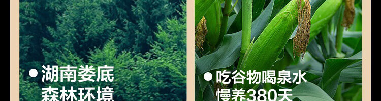 b91ce331a54248f9.jpg