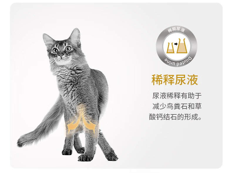 8，ROYAL CANIN 皇家貓糧泌尿道処方糧LP34貓咪利尿通膀胱尿結石尿路感染MUC34情緒舒緩 LP34成貓泌尿道処方糧6kg